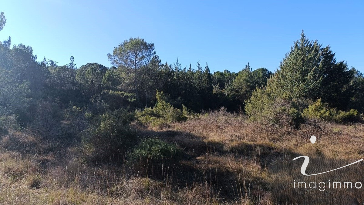 Troisième photo